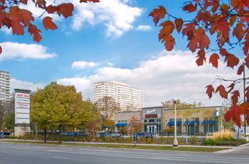 Lake meadows shot during the day at Eden Commons, Illinois, 60616